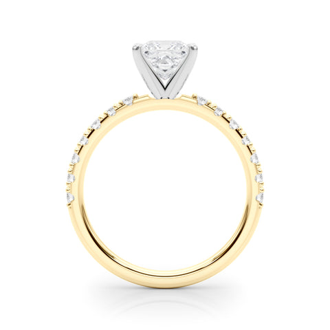 Yellow gold Princess Solitaire Pavé Band with Four-Prong Setting