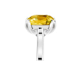 Platinum Cushion Cut Yellow Sapphire Solitaire Ring with Flower Prong Setting and Classic Band_17
