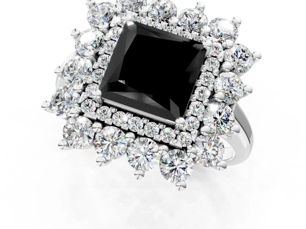 Platinum Princess Cut Floral Double Halo Engagement Ring Setting for Black Center