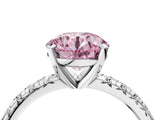 Platinum Fancy Pink Round Cut Diamond Solitaire Pavé Engagement Ring with Round Band and Prong Setting_4