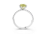 Platinum Fancy Yellow Round Cut Diamond Brilliant Solitaire Ring with Pavé Band and Four-Prong Setting_51