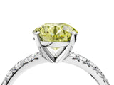 Platinum Fancy Yellow Round Cut Diamond Solitaire Pavé Engagement Ring with Round Band and Prong Setting_4