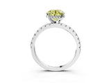 Platinum Fancy Yellow Round Cut Diamond Solitaire Ring with Round  Pavé Band and Four-Prong Setting_27