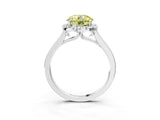 Platinum Fancy Yellow Round Cut Halo Round Diamond Solitaire Ring with Pavé Band and Four-Prong Setting_27