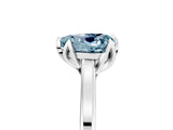 Platinum Heart Cut Aquamarine Solitaire Ring with Flower Prong Setting and Classic Band_17