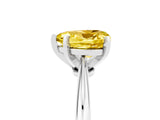 Platinum Heart Cut Yellow Sapphire Solitaire Engagement Ring with Classic Band and Four-Prong Setting_29