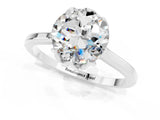 Platinum Round Cut Moissanite Solitaire Ring with Flower Prong Setting and Classic Band_1