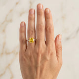 Rose gold Cushion Cut Yellow Sapphire Solitaire Ring with Round  Pavé Band and Four-Prong Setting_78