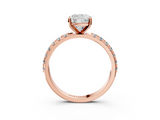 Rose gold Cushion Solitaire Pavé Band with Four-Prong Setting_162