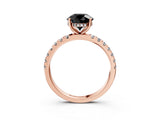 Rose gold Fancy Black Round Cut Diamond Pave Band Solitaire Ring with Four-Prong Setting_15