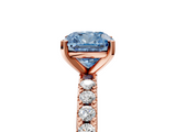 Rose gold Fancy Blue Cushion  Solitaire Pavé Band with Four-Prong Setting_161