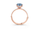 Rose gold Fancy Blue Round  Diamond Pavé Band with Six-Prong Setting_18