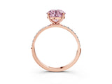 Rose gold Fancy Pink Round  Diamond Pavé Band with Six-Prong Setting_30