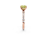 Rose gold Fancy Yellow Cushion  Diamond Pavé Band with Six-Prong Setting_29