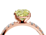 Rose gold Fancy Yellow Cushion  Solitaire Pavé Band with Four-Prong Setting_142