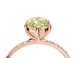 Rose gold Fancy Yellow Marquise  Diamond Pavé Band with Six-Prong Setting_31
