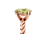 Rose gold Fancy Yellow Oval  Cut Solitaire Twisted Band with Four-Prong Setting_82