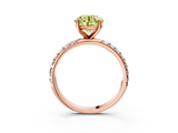 Rose gold Fancy Yellow Round  Cut Diamond Pavé Band Solitaire with Four-Prong Setting_6