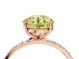 Rose gold Fancy Yellow Round  Diamond Pavé Band with Six-Prong Setting_31