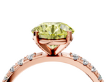 Rose gold Fancy Yellow Round  Solitaire Pavé Band with Four-Prong Setting_4
