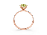 Rose gold Fancy Yellow Round  Solitaire Pavé Diamond Engagement Ring with Four-Prong Setting_3