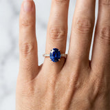 Rose gold Oval Cut Blue Sapphire Solitaire Ring with Round  Pavé Band and Four-Prong Setting_42