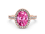 Rose gold Oval Cut Halo Diamond Pave Band with Prong Setting