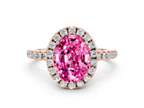 Rose gold Oval Cut Halo Round Diamond Pavé Band Four-Prong Ring