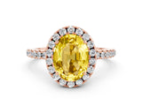 Rose gold Oval Cut Halo Round Diamond Pavé Band Four-Prong Ring