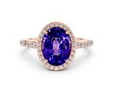 Rose gold Oval Cut Halo Round Diamond Pavé Band with Four-Prong Setting