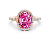 Rose gold Oval Cut Halo Round Diamond Pavé Band with Four-Prong Setting