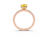 Rose gold Oval Cut Yellow Sapphire Pave Band Solitaire Ring with Four-Prong Setting_63