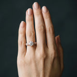 Rose gold Round Brilliant Solitaire Engagement Ring with Pave Band and Four-Prong Setting_6