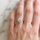 Rose gold Round Cut Diamond Pavé Halo Ring with Four-Prong Setting_65