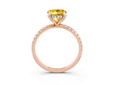 Rose gold Round Cut Diamond Solitaire Ring with Four-Prong Setting and Pavé Band_3