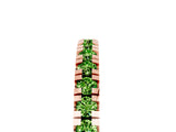 Rose gold Round Cut Peridot Pavé Set Thin Band_5