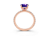Rose gold Round Cut Tanzanite Pavé Solitaire Ring with Round Band and Prong Setting_27