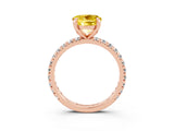 Rose gold Round Cut Yellow Sapphire Pavé Solitaire Ring with Round Band and Prong Setting_15
