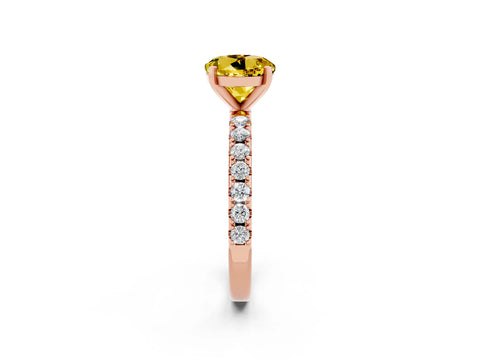 Rose gold Round Cut Yellow Sapphire Solitaire Pavé Band with Four-Prong Setting_26