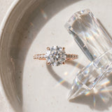 Rose gold Round Diamond Solitaire Ring with Four-Prong Setting and Pavé Band_15