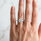 Silver Cushion Cut Diamond Pavé Band Solitaire Ring with Prong Setting_422