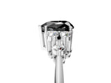 Silver Fancy Black Heart Cut Cut Diamond Cluster Ring with Solitaire Band and Four-Prong Setting_24