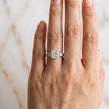 Silver Princess Cut Diamond Classic Solitaire Ring with Pavé Band and Four-Prong Setting_48