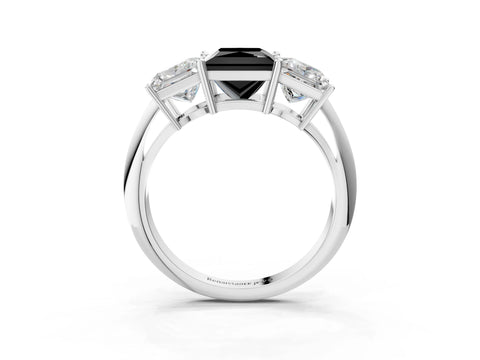 Silver Three-Stone Fancy Black Princess Cut Cut Diamond Engagement Ring with Prong Setting on a White Gold Band_24