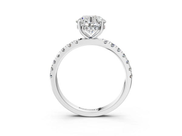 2 Carat Round Cut White gold Diamond Pave Band Solitaire Ring with Round  and Prong Setting