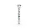 White gold Cushion Cut Diamond Pavé Band Solitaire Ring with Prong Setting_85
