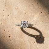 White gold Cushion Cut Diamond Solitaire Ring with Pavé Accents and Four-Prong Setting_104