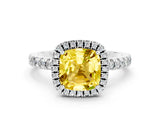 White gold Cushion Cut Halo Diamond Pave Band with Prong Setting