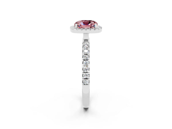 Platinum Cushion Cut Halo Diamond Pave Band with Prong Setting