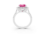 White gold Double Halo Round Cut Pink Sapphire Pavé Band with Four-Prong Setting_51